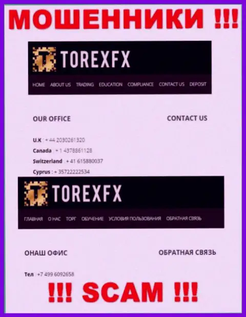 В арсенале у internet-мошенников из организации TorexFX есть не один номер телефона