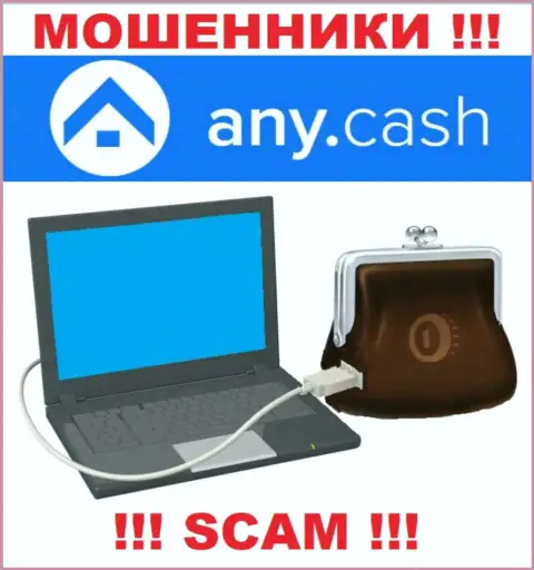 Any Cash - это МОШЕННИКИ, род деятельности которых - Цифровой онлайн-кошелек