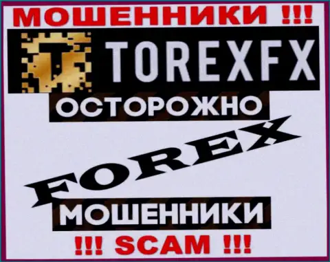 Род деятельности TorexFX Com: ФОРЕКС - отличный заработок для мошенников