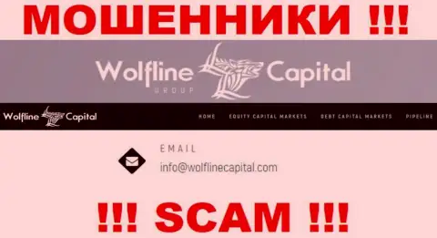 КИДАЛЫ Wolfline Capital указали на своем ресурсе адрес электронного ящика конторы - писать сообщение слишком рискованно
