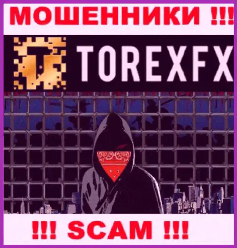 TorexFX Com не разглашают инфу о руководстве организации