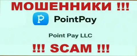 На интернет-сервисе Поинт Пей говорится, что Point Pay LLC - это их юридическое лицо, однако это не обозначает, что они приличны