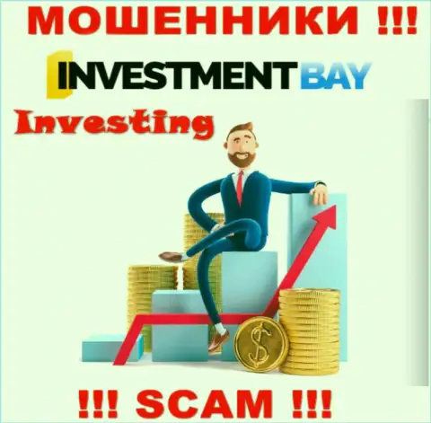 Не стоит верить, что сфера деятельности InvestmentBay - Инвестиции легальна - это надувательство