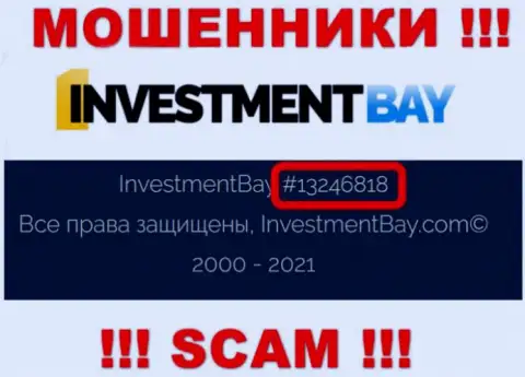 Номер регистрации, под которым официально зарегистрирована организация Investment Bay: 13246818
