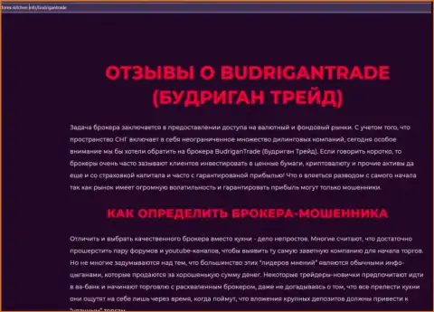 BudriganTrade - это организация, взаимодействие с которой приносит только убытки (обзор противозаконных действий)