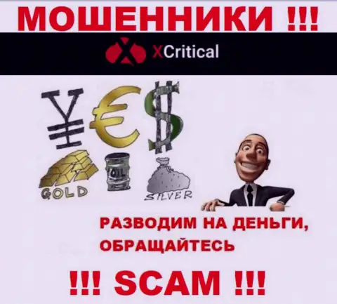 XCritical Com - разводят валютных игроков на вложения, БУДЬТЕ ВЕСЬМА ВНИМАТЕЛЬНЫ !!!