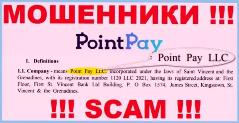 Point Pay LLC - это организация, которая управляет интернет мошенниками Поинт Пэй