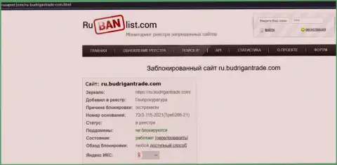 Веб-сайт BudriganTrade на территории Российской Федерации был заблокирован Генеральной прокуратурой