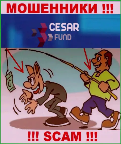 Мошенники Cesar Fund на стадии поиска новых доверчивых людей