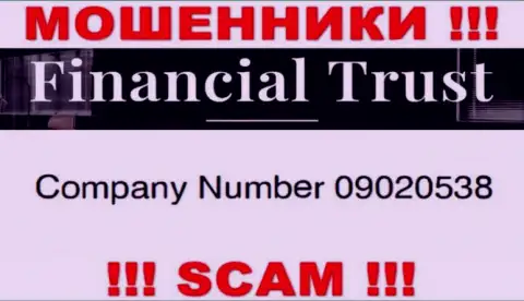 Номер регистрации аферистов всемирной internet сети организации Financial-Trust Ru: 09020538