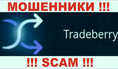 TradeBerry Org - АФЕРИСТЫ !!! SCAM !!!