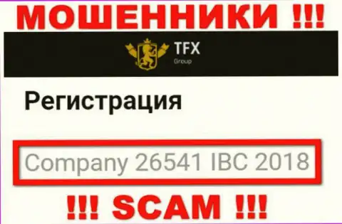 Регистрационный номер, который принадлежит незаконно действующей компании ТФХГрупп: 26541 IBC 2018