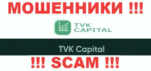 TVK Capital - это юридическое лицо интернет обманщиков TVKCapital Com