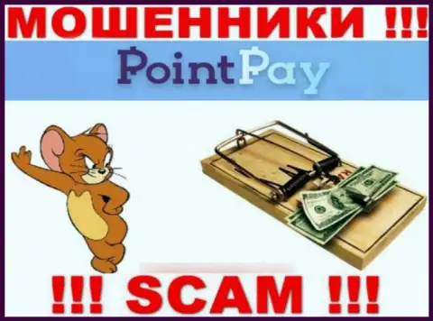 Point Pay LLC - это ВОРЮГИ, не нужно верить им, если будут предлагать увеличить вклад