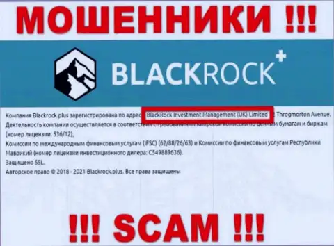 Владельцами BlackRock Plus является организация - БлэкРок Инвестмент Менеджмент (УК) Лтд