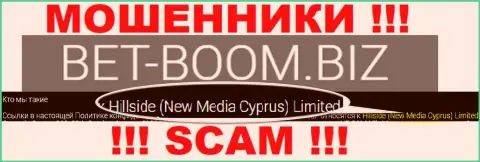 Юридическим лицом, владеющим мошенниками Bet-Boom Biz, является Hillside (New Media Cyprus) Limited