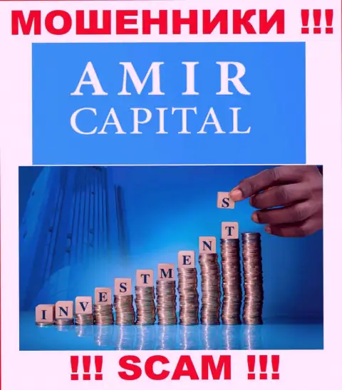 Не переводите сбережения в Амир Капитал, тип деятельности которых - Инвестирование