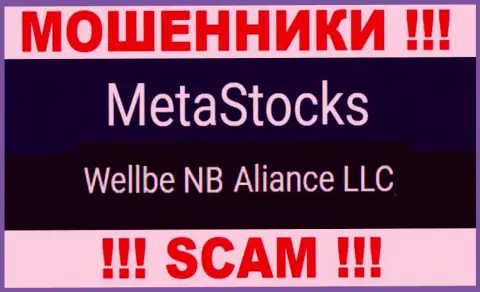 Юридическое лицо жуликов MetaStocks - это Веллбе НБ Альянс ЛЛК