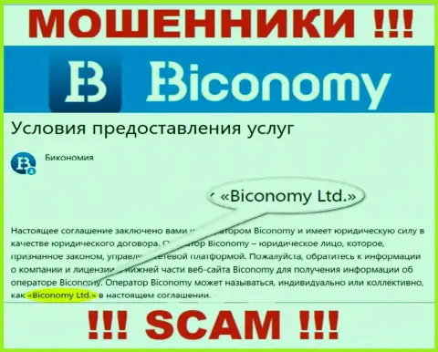 Юридическое лицо, которое управляет internet-ворами Бикономи - это Biconomy Ltd