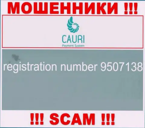 Номер регистрации, который принадлежит жульнической организации Каури: 9507138