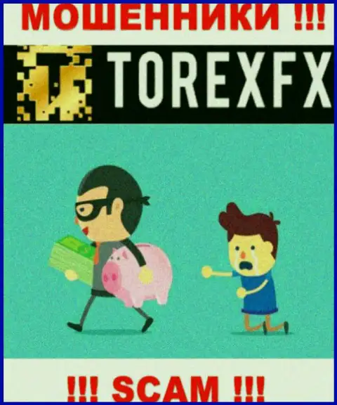 Рискованно совместно работать с дилинговой организацией TorexFX - надувают валютных трейдеров